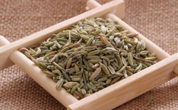 如何選擇茶葉包裝機(jī)廠家？選擇標(biāo)準(zhǔn)解析茶葉包裝機(jī)廠家。