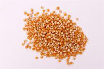 全自動顆粒包裝機(jī)替人們解決了很多問題